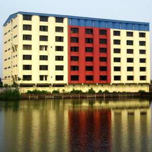 Irene knitwear Limited